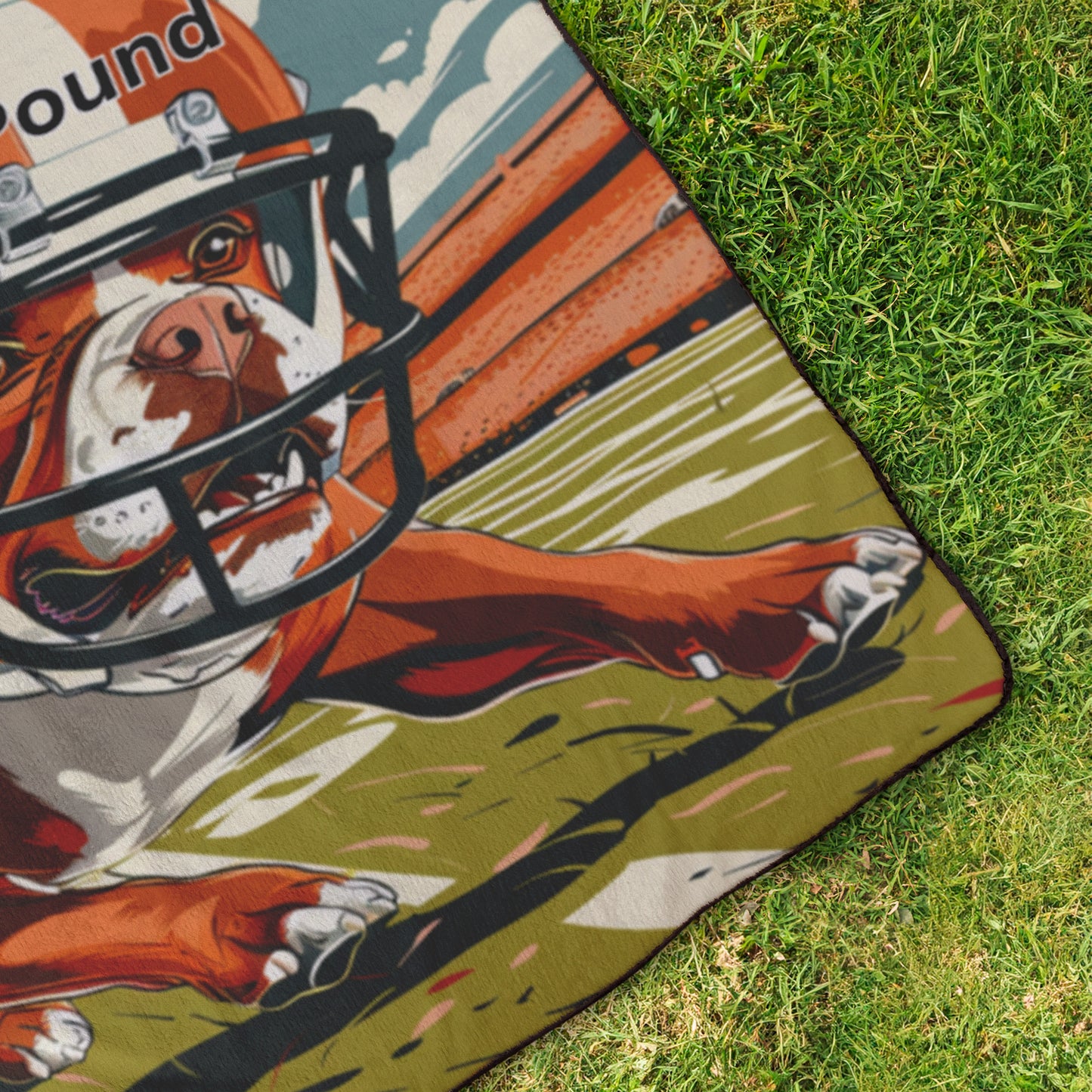 Browns Stadium Blanket