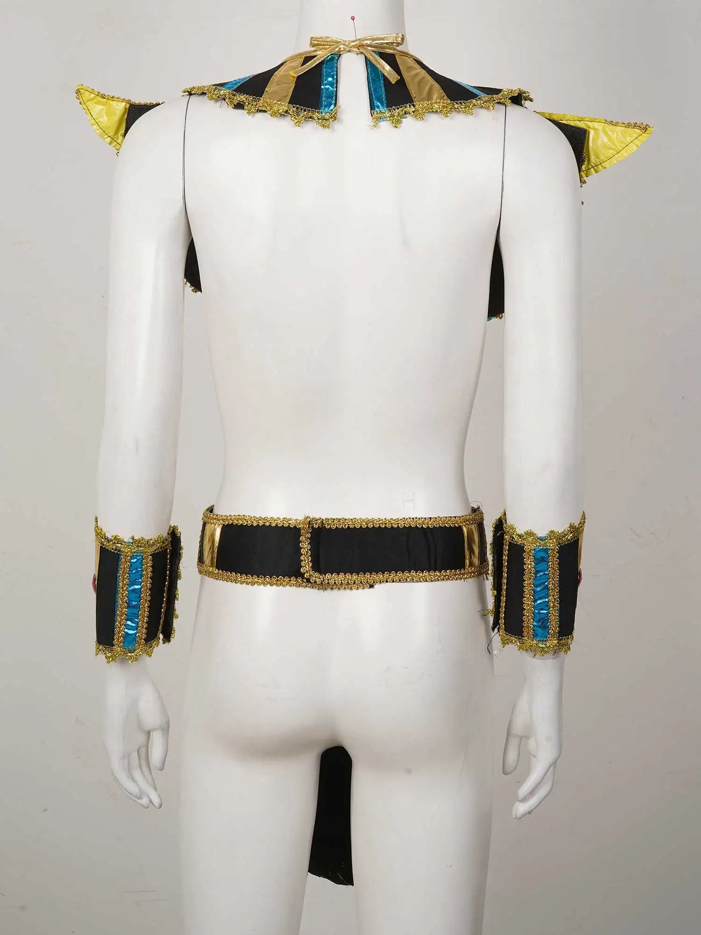 Ancient Egyptian Pharaoh / Priest Adult Costume