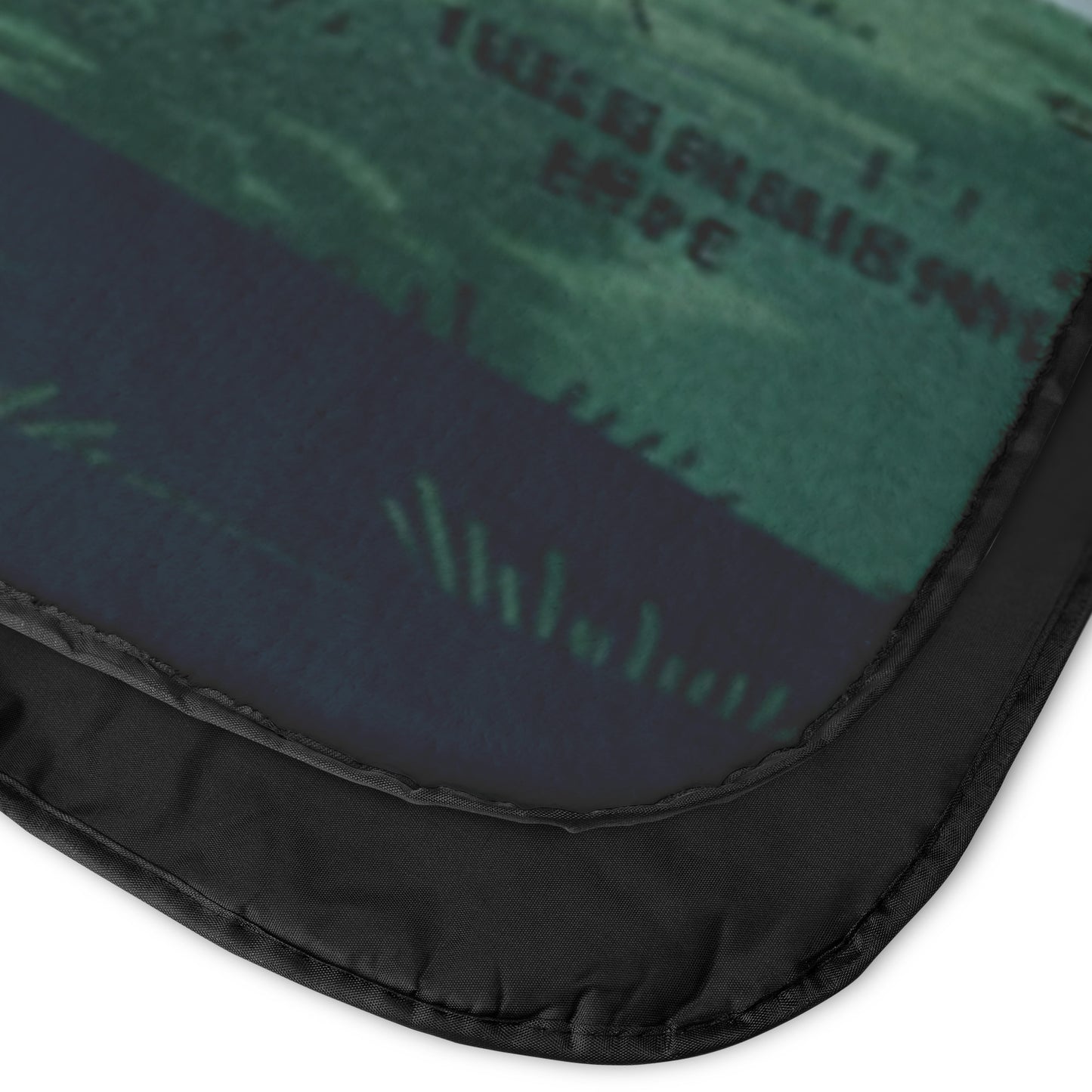 Panthers Stadium Blanket