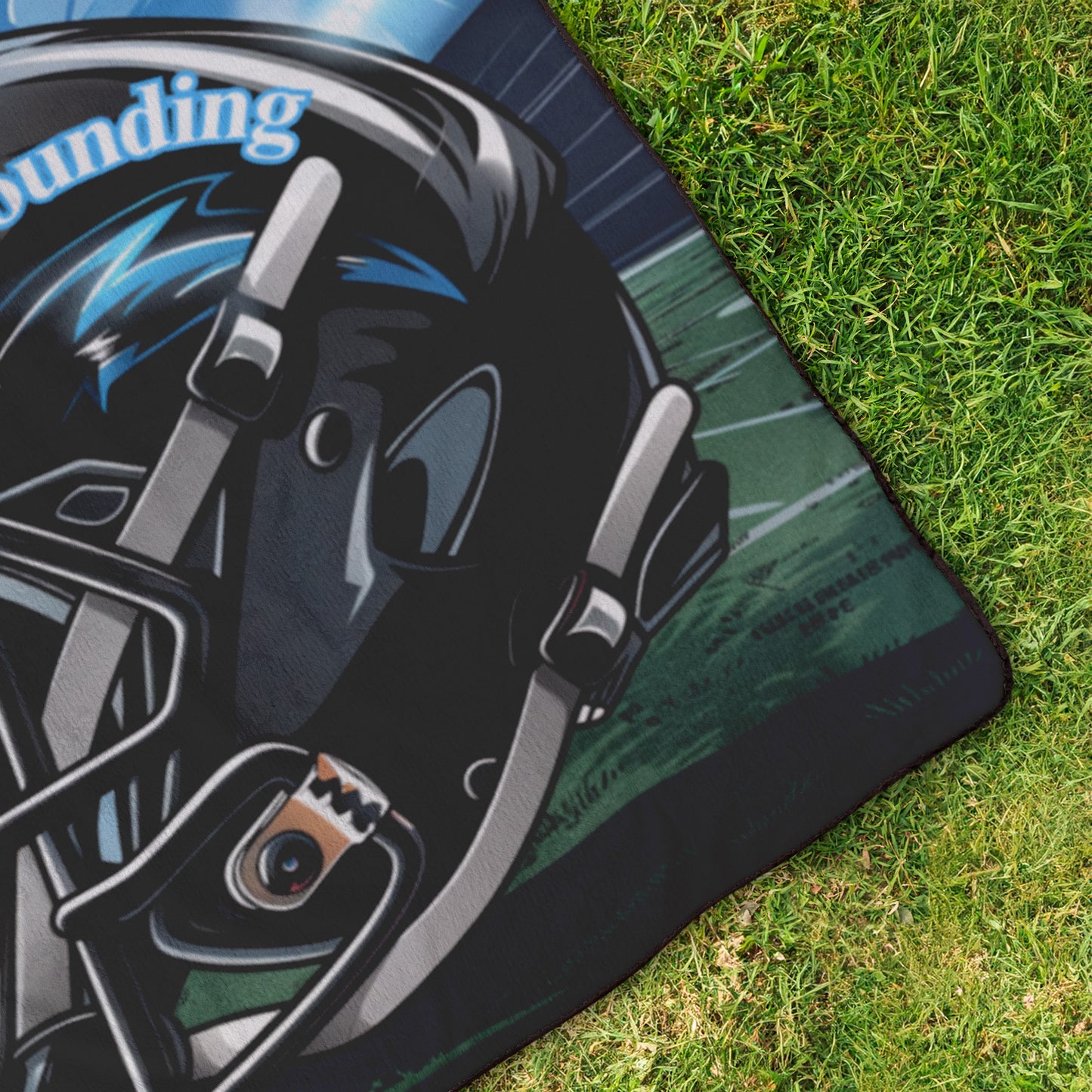Panthers Stadium Blanket