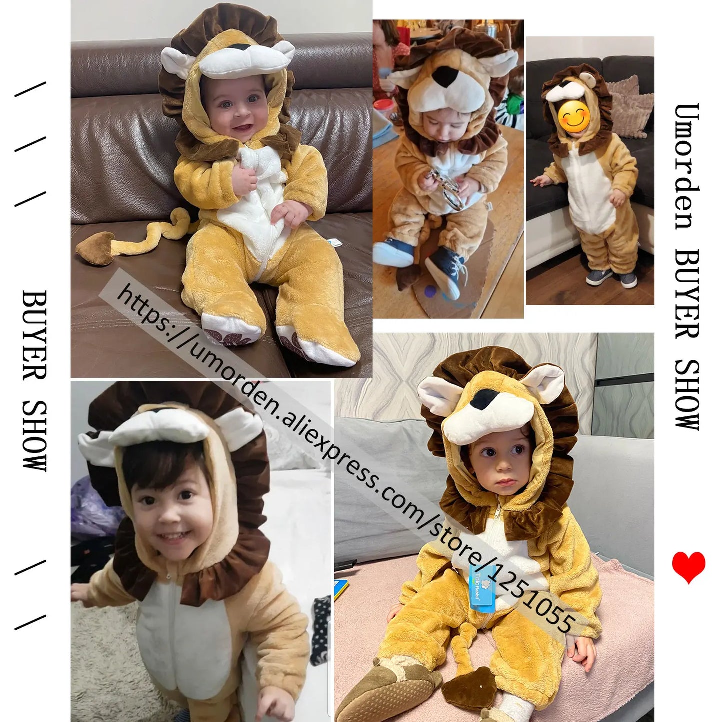Little King of Beasts Lion Costume (0-36M)