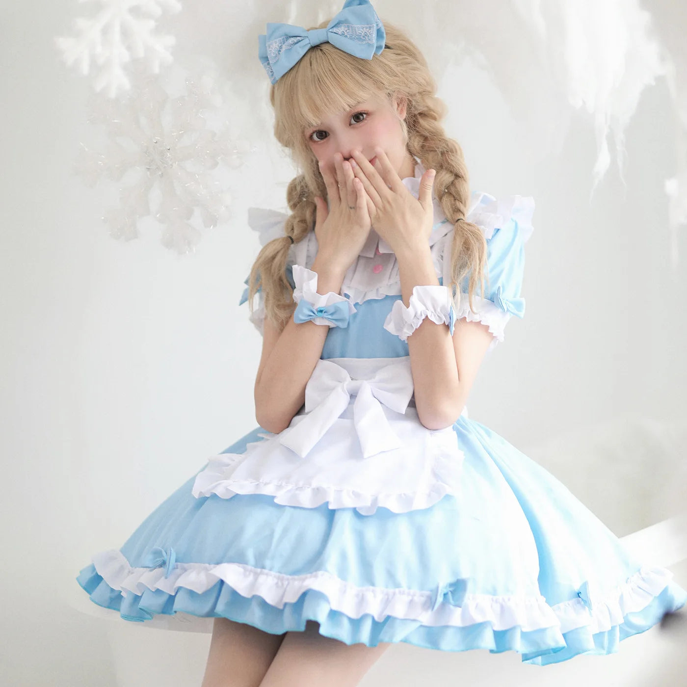 Alice in Wonderland Maid Anime Costume
