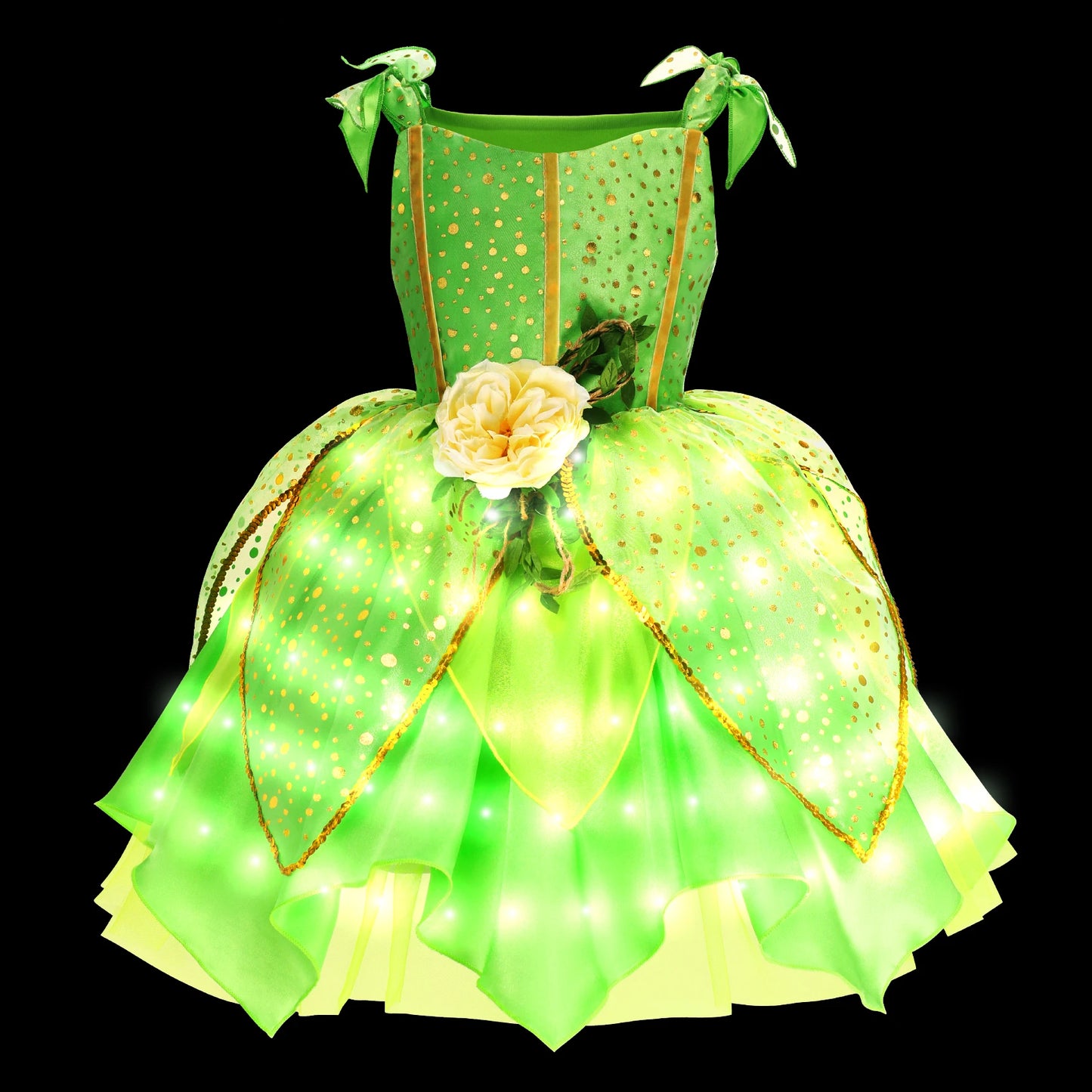 LED Light Princess Dress Costume