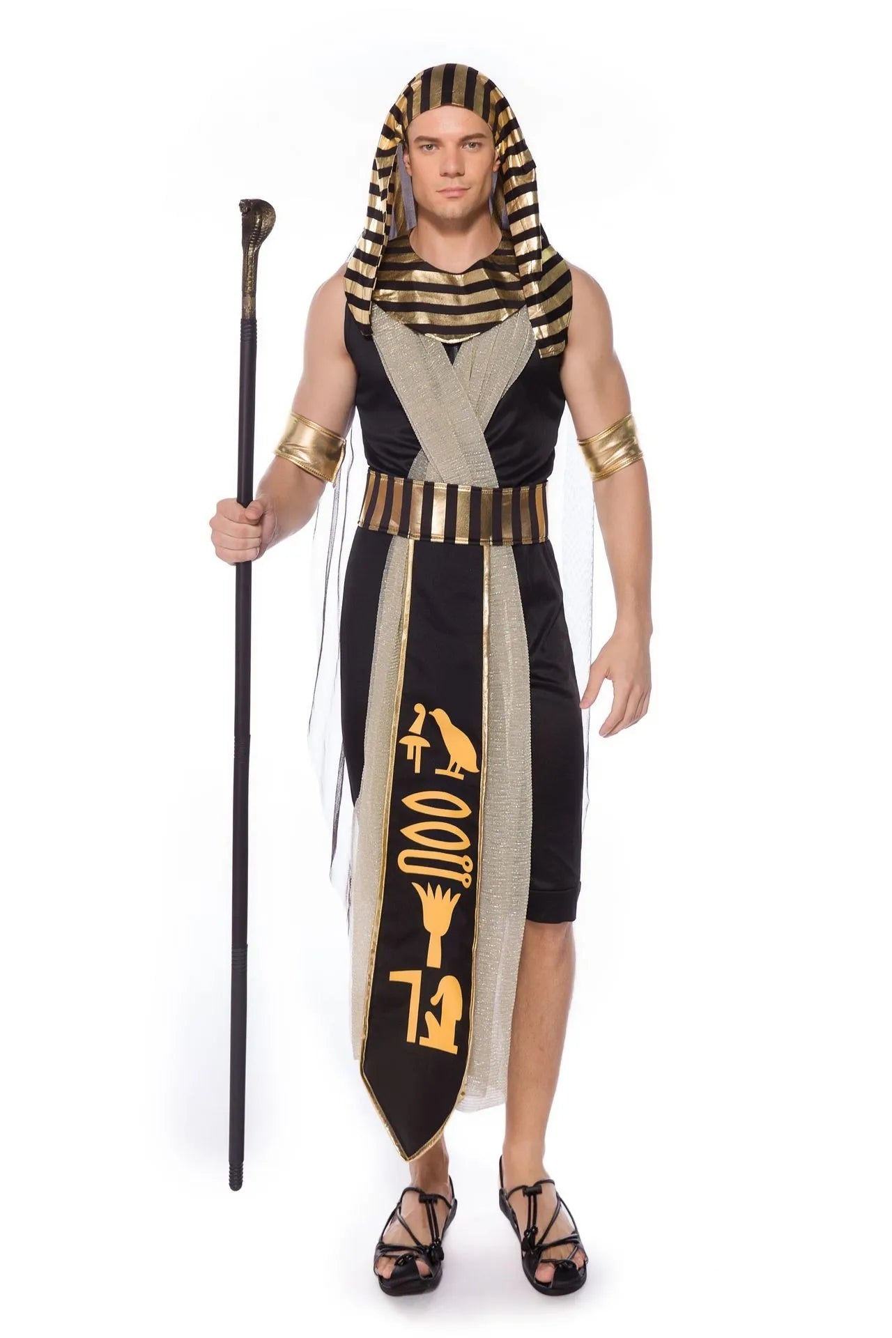 Ancient Egyptian Pharaoh / Queen Adult Costumes 1