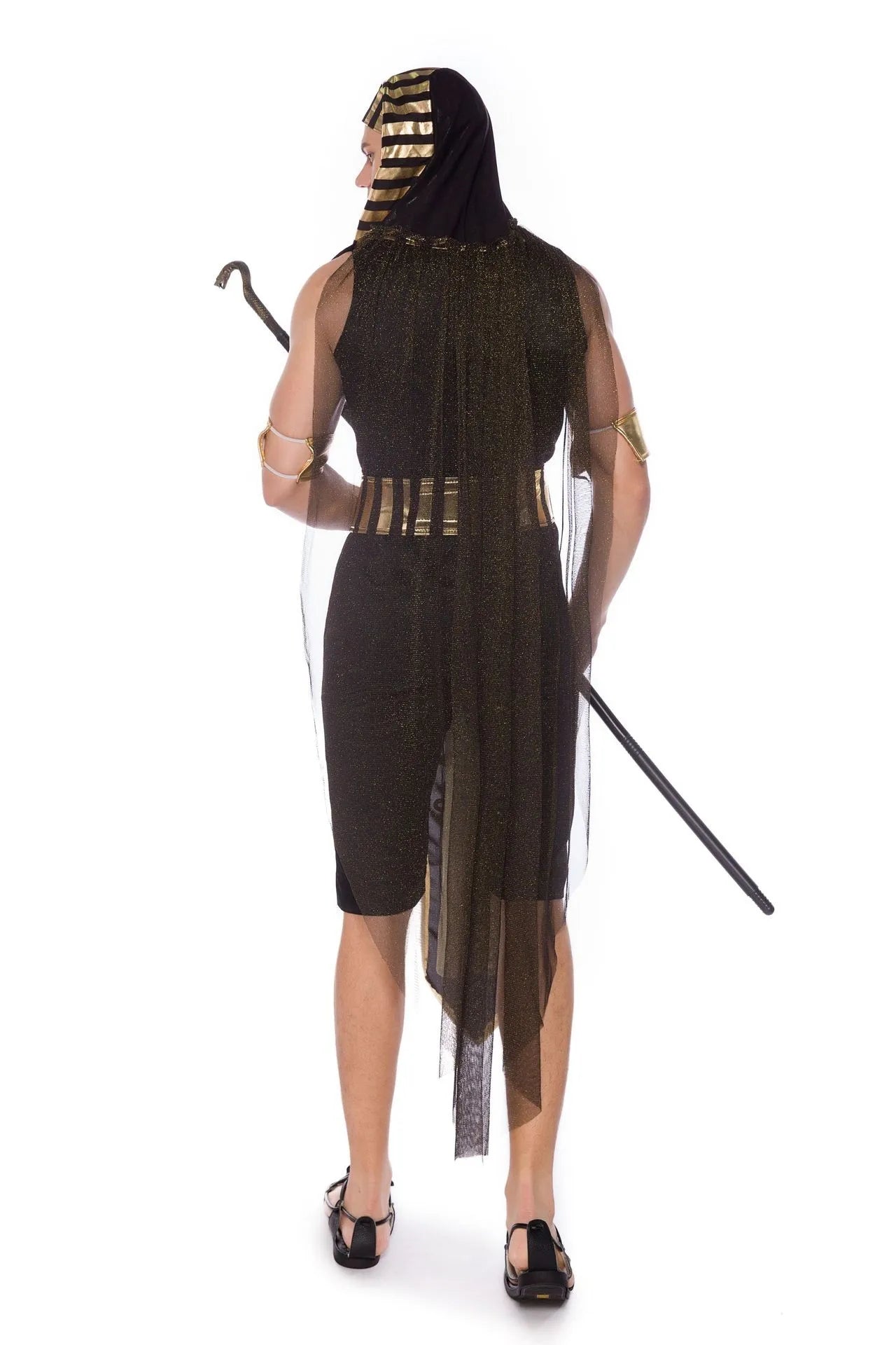Ancient Egyptian Pharaoh / Queen Adult Costumes 1