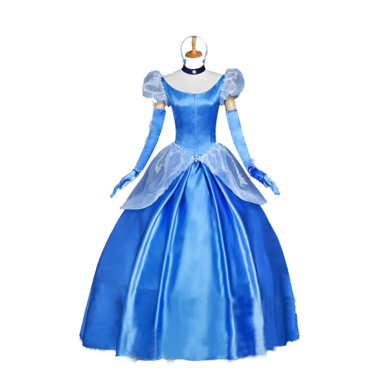 Princess Dress Costumes for Adults