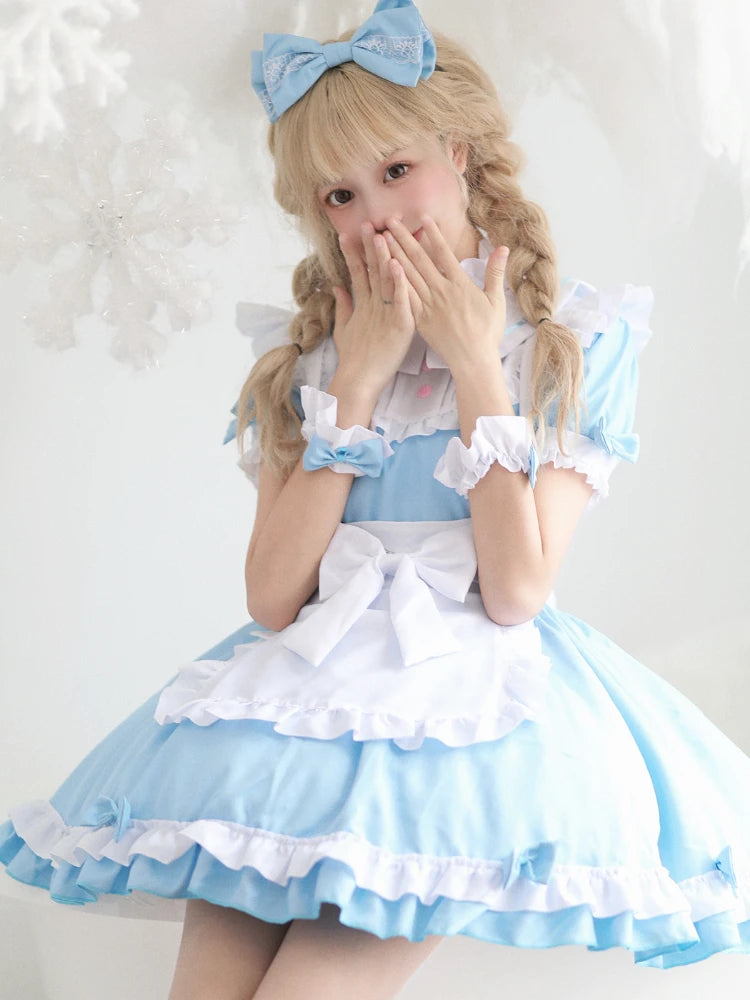 Alice in Wonderland Maid Anime Costume