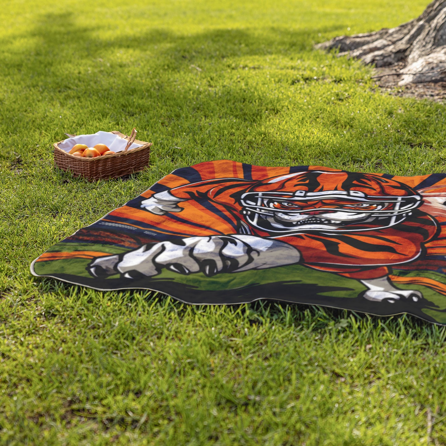 Bengals Stadium