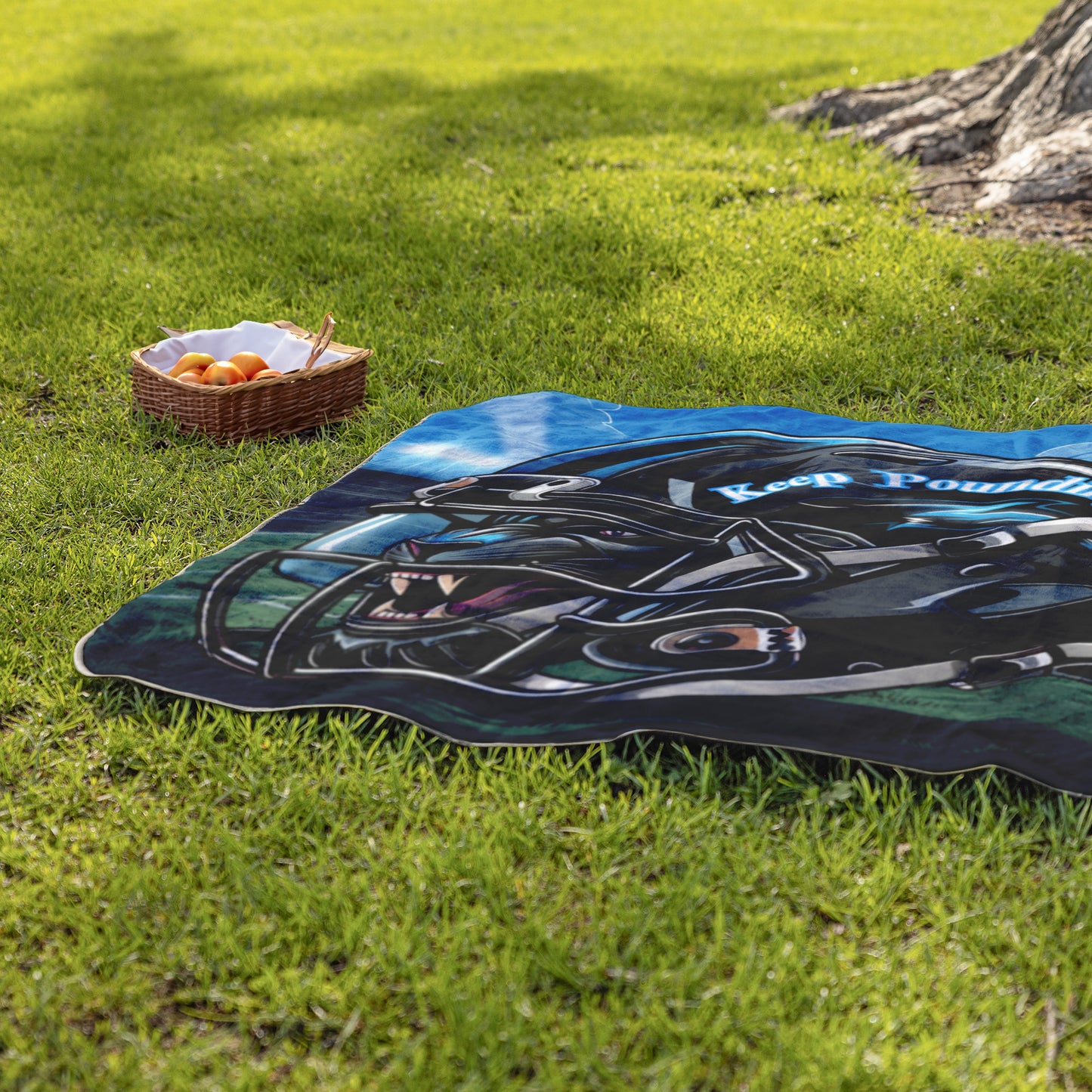 Panthers Stadium Blanket