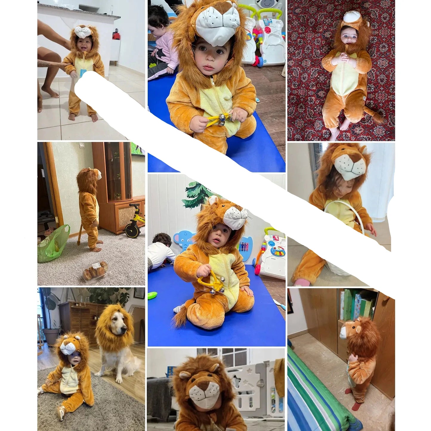 Lion Costume