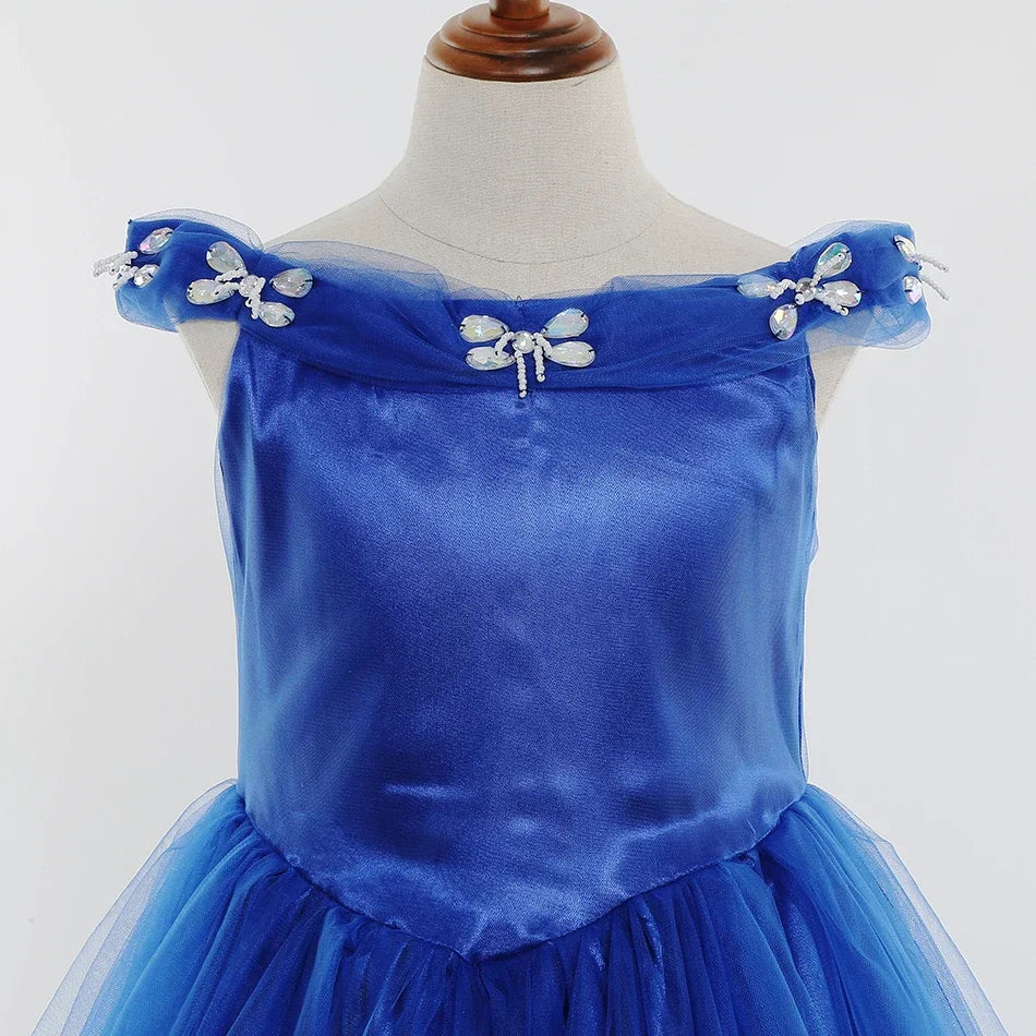 Cinderella Dress Costume