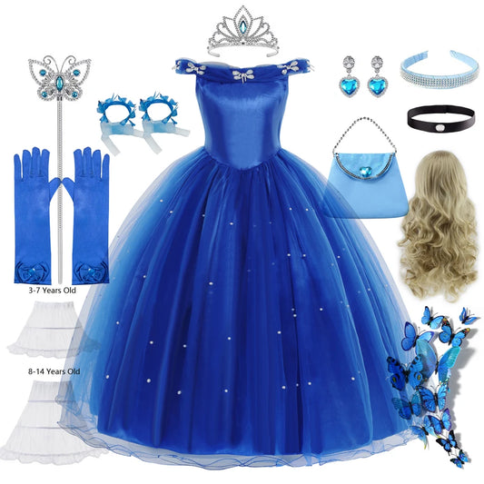 Cinderella Dress Costume