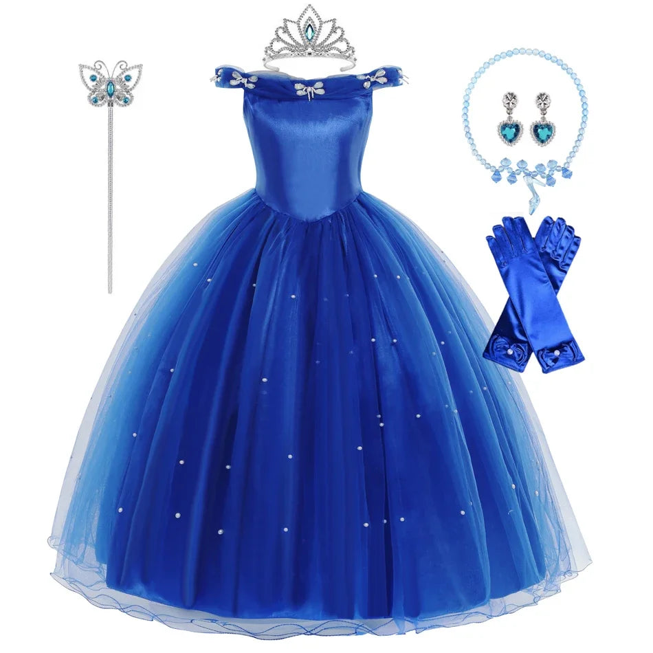 Cinderella Dress Costume