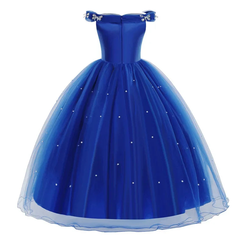 Cinderella Dress Costume