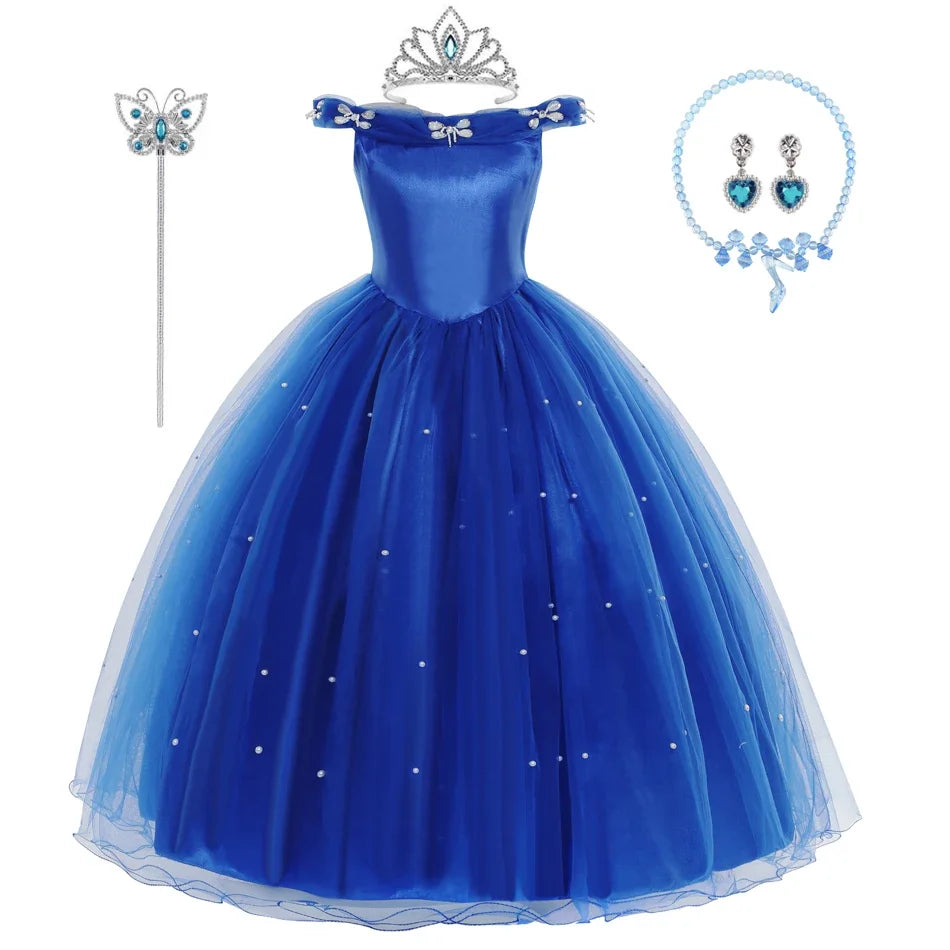 Cinderella Dress Costume