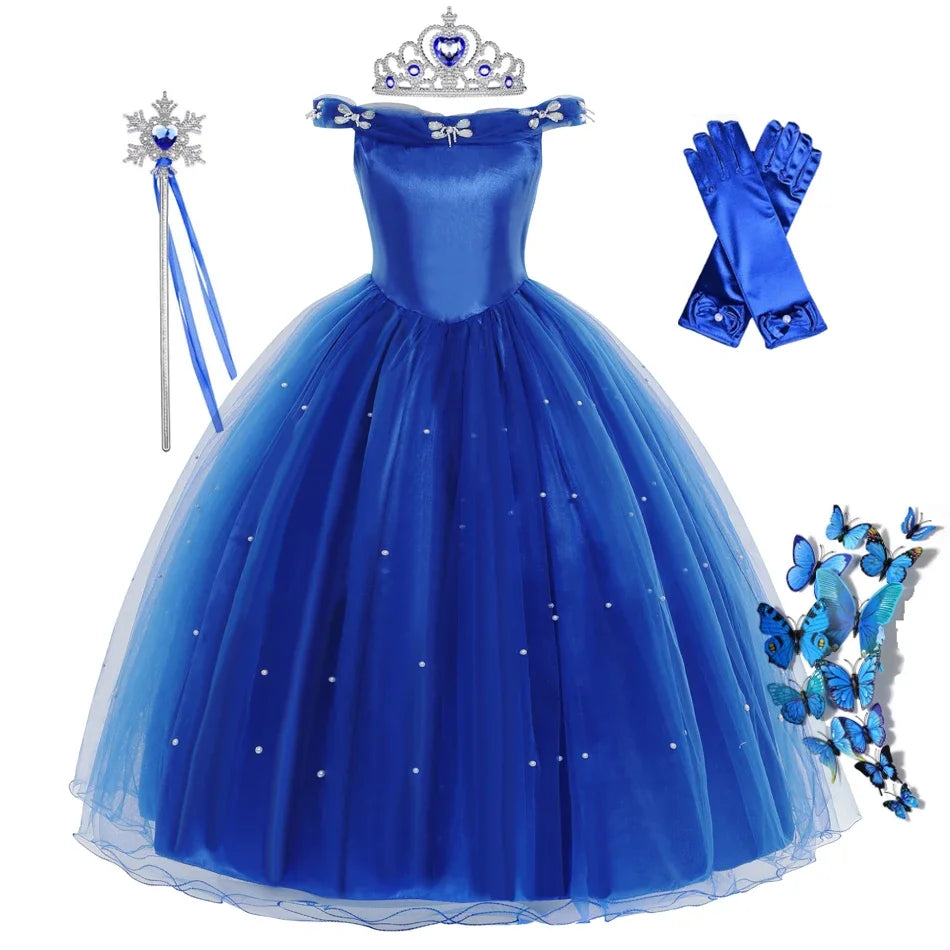 Cinderella Dress Costume