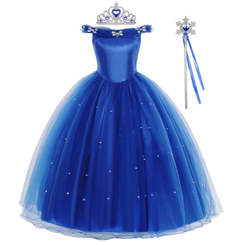 Cinderella Dress Costume